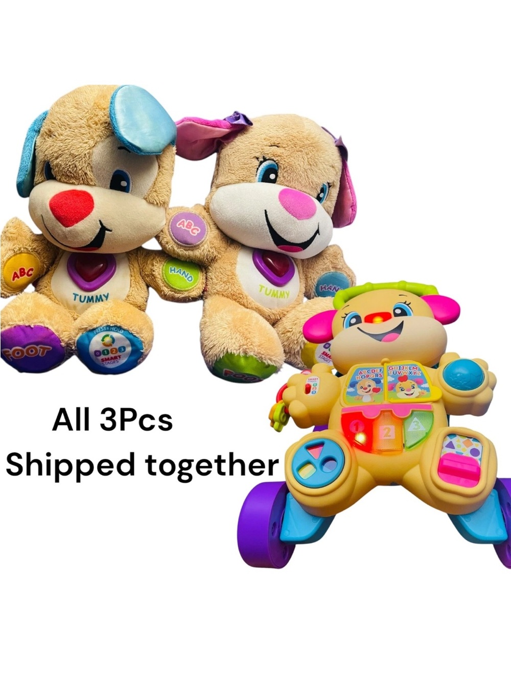 Interactive Plush Puppy Set with Learning Walker - Beige & Bright Colors